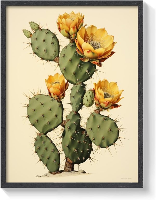 Vintage Lemon Ball Cactus Art Print Framed Botanical Wall Art Decor for Living Room Retro Style